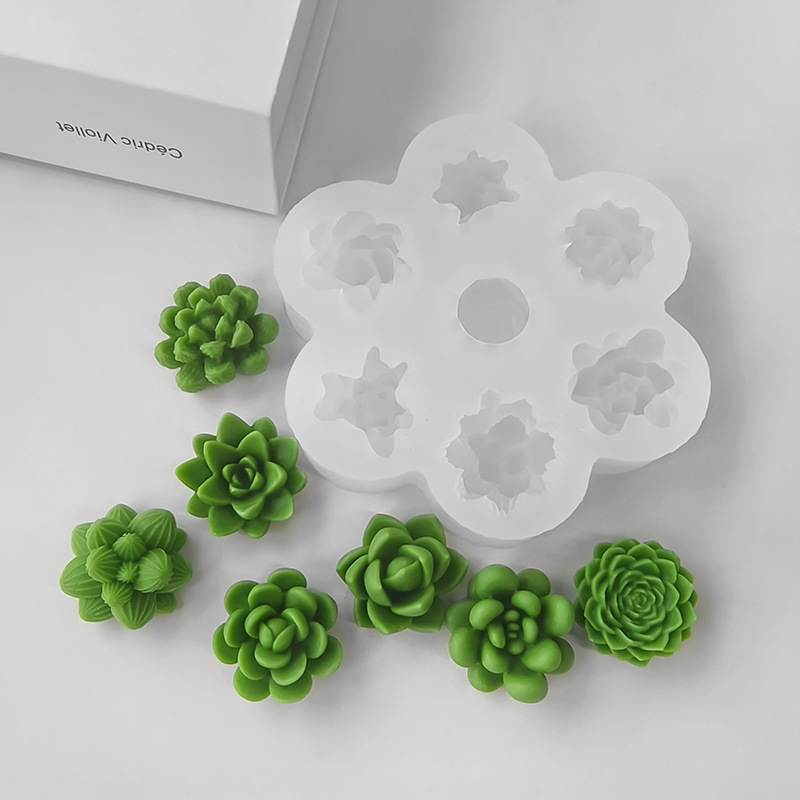7-in-1 Sukkulenten-Kaktus-Sili – Soap Making At Home Bewertung und Preis