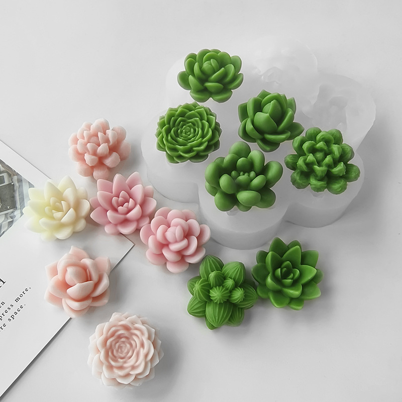 7-in-1 Sukkulenten-Kaktus-Sili – Soap Making At Home Bewertung und Preis