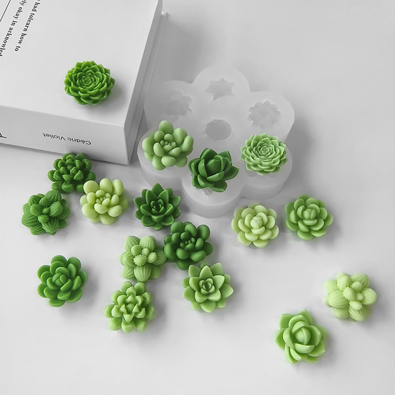 7-in-1 Sukkulenten-Kaktus-Sili – Soap Making At Home Bewertung und Preis
