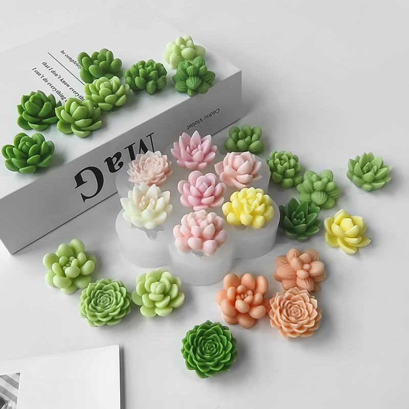 7-in-1 Sukkulenten-Kaktus-Sili – Soap Making At Home Bewertung und Preis