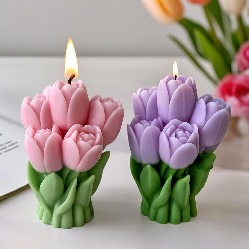 Valentinstag Geschenk Tulpe Bo – Soap Making At Home Bewertung und Preis
